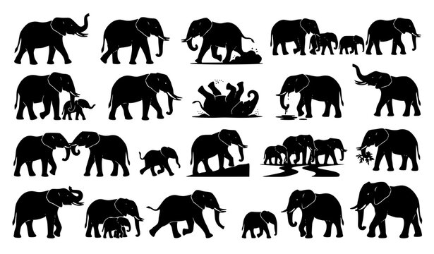 Elephant Silhouette Collection Featuring Adult Baby Walking Standing Herd and Wildlife Animal Vector Set