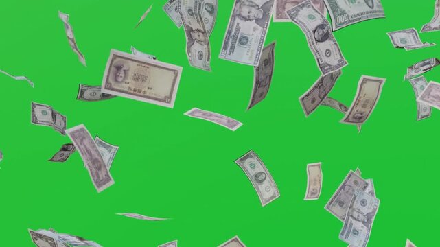Green screen money falling dollar bills chroma key animation background