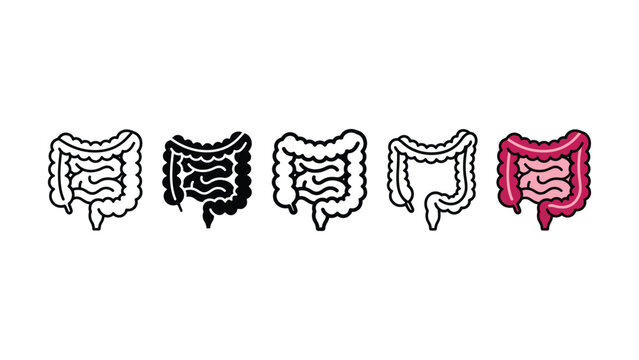 Set of human large and small intestine icons in various artistic styles