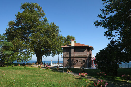 Yalova Walking Mansion M&uuml;zesi (Y&uuml;r&uuml;yen K&ouml;şk) Atat&uuml;rk, resting for a while under the shade of that plane tree ordered a mansion to be built near it in 1927.