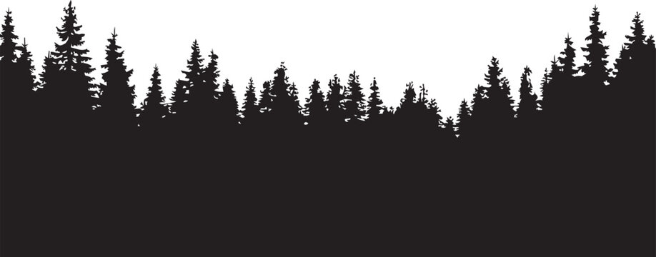 Coniferous forest silhouette against a bright sky for nature themes