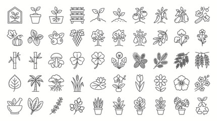 Plant growth and gardening line icon set with sprout botanical trees and floral elements. © Tah