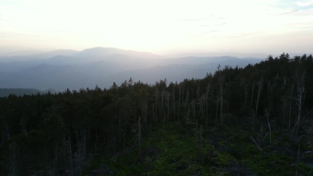 Drone aerial flight emerging above the forest at sunset over Roan Mountain, revealing the backlit Blue Ridge Mountain ridges beneath a glowing evening sky