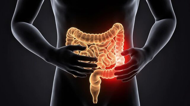 Intestine Bowel Pain 3D Medical Animation Human Body Digestive Anatomy Organ X-Ray Glowing Red Dark Background