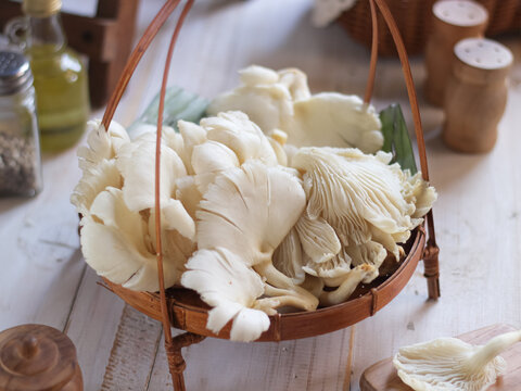 Jamur Tiram or Oyster mushrooms are with general characteristics of a white to creamy