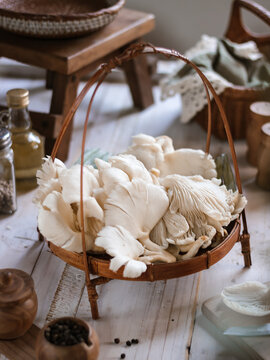 Jamur Tiram or Oyster mushrooms are with general characteristics of a white to creamy