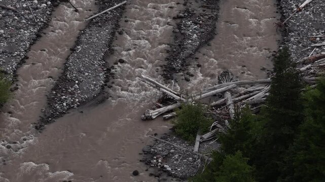 Aerial of muddy Nisqually river flowing through Gifford Pinchot National Forest with exposed gravel riverbed and logs in Ashford Washington