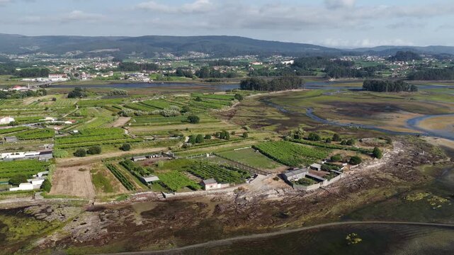 Aerial View of Albari&ntilde;o Vineyards and Agricultural Land Surrounding the Coastal Town of Cambados Galicia