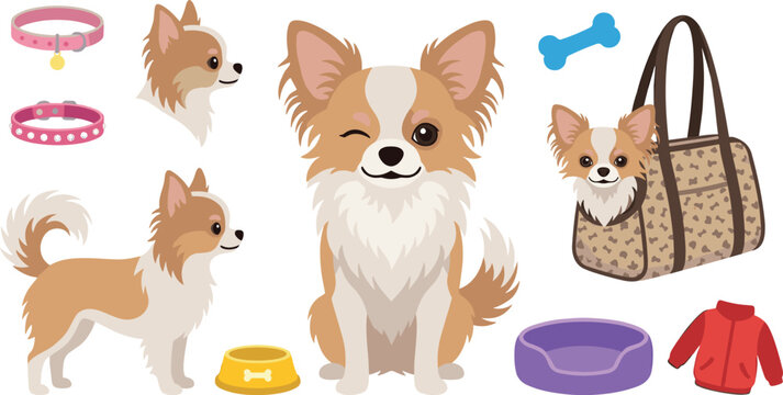 Cute long haired chihuahua dog vector illustration set featuring puppy winking standing carrying bag collars bowl bed clothes bone isolated on white background.
