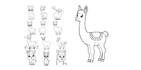 Fototapeta premium Happy Cartoon Baby Llama Simple Kids Coloring Book Line Art