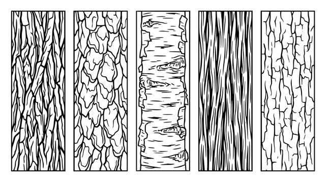 Collection of detailed tree bark textures in black and white line art style representing various wood grains and patterns for graphic design