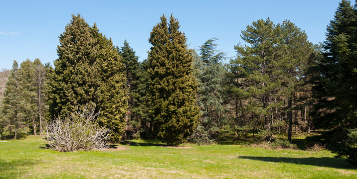 Botanic garden in Saints Constantine and Helena resort, Bulgaria