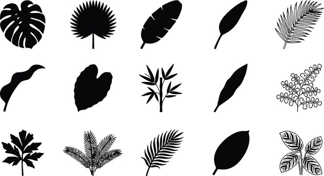 Tropical leaf silhouettes collection black and white botanical elements