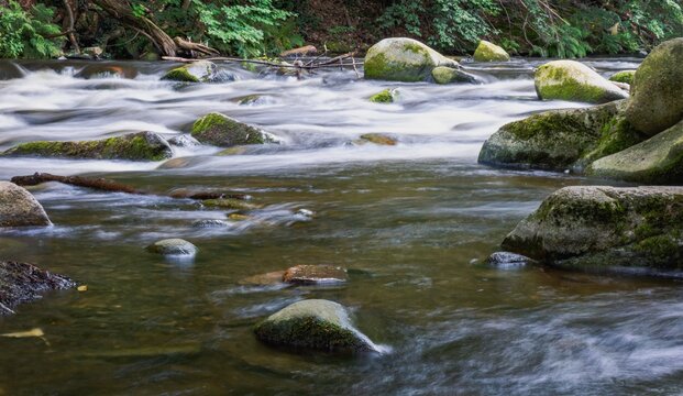 Photograph of the Wilde Bode in the Harz nature reserve.