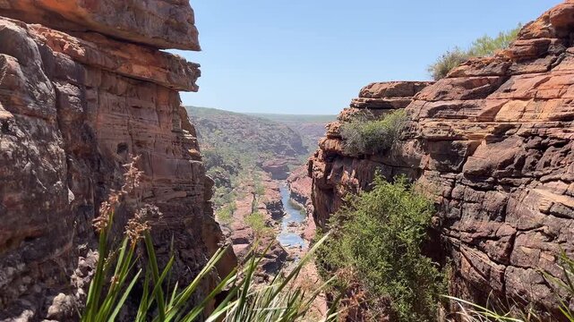 Winding river flowing through a canyon with steep rocky walls and green plants in the foreground.