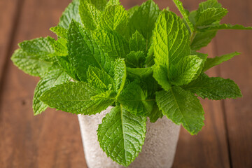 Fresh organic green mint leaves in a rustic textured pot placed on a dark wooden table creating a vibrant healthy culinary herb display © anammarques