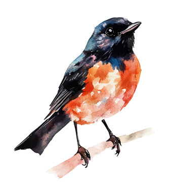 Bebinca, watercolor illustration, vector, isolated on a white background.