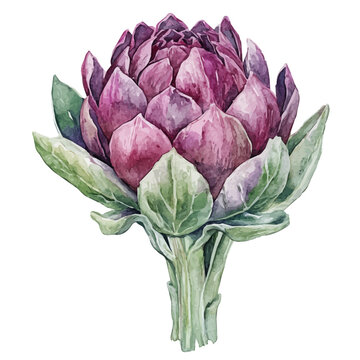 Bebinca, watercolor drawing vector , isolated on a white background.