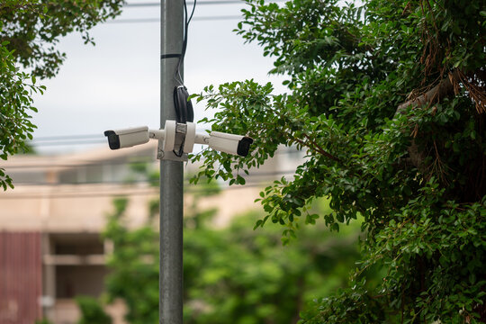 Surveillance camera mounted on pole amidst greenery