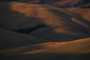 Aerial view of rolling hills with dramatic golden hour lighting and deep shadows. Ideal for website backgrounds and conceptual themes of nature and growth. © marcodenaro