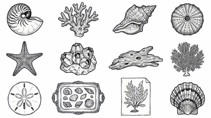 Detailed Collection of Marine Life and Sea Creatures. © Untung
