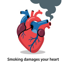 Obraz premium Human heart showing damage from smoking with grey smoke cloud for medical awareness and healthcare education on white background