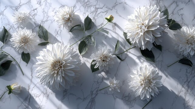 Elegant arrangement of white dahlias and buds on a light marble surface, creating a serene and minimalist floral composition. : Generative AI.