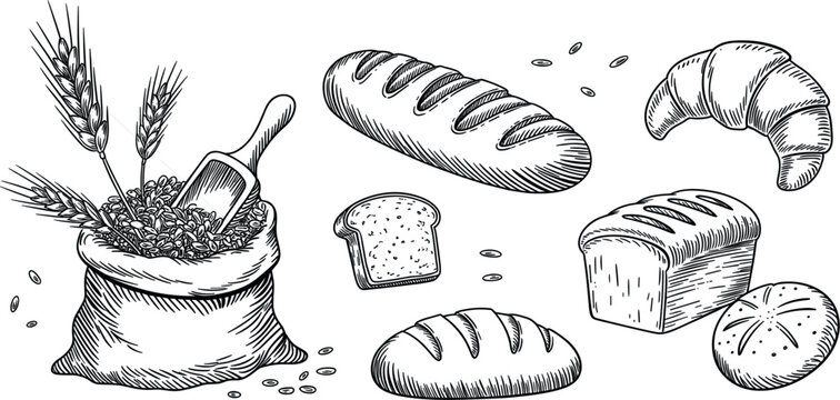 Bakery bread and wheat sack sketch collection vector illustration, hand drawn fresh organic bakery food design elements