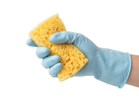 Hand in a blue rubber glove holding a yellow cleaning sponge isolated on transparent background