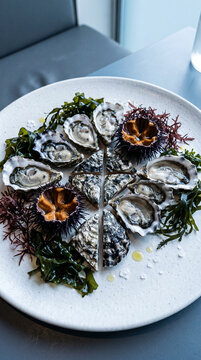 Plateau de fruits de mer frais avec hu&icirc;tres et oursins sur lit d'algues