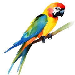 Parrot, clipart vector in watercolor style with flowing brushwork, isolated on a white background. © brixel