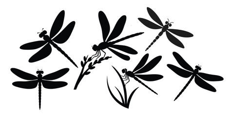 Dragonfly silhouette vector illustration, black dragonfly silhouettes, dragonfly silhouettes set, insect glyph icon, dragonfly collection © VectorEliteX