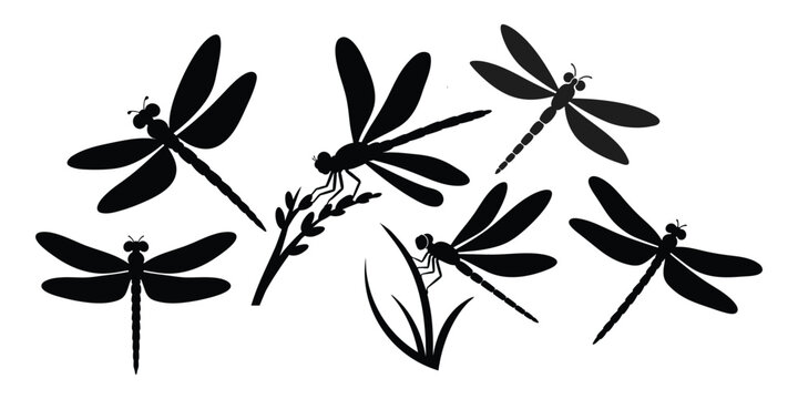 Dragonfly silhouette vector illustration, black dragonfly silhouettes, dragonfly silhouettes set, insect glyph icon, dragonfly collection