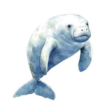 Manatee, vector watercolor clipart with soft pastel strokes, isolated on a white background.