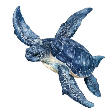 Leatherback Turtle, clipart watercolor vector, isolated on a white background.