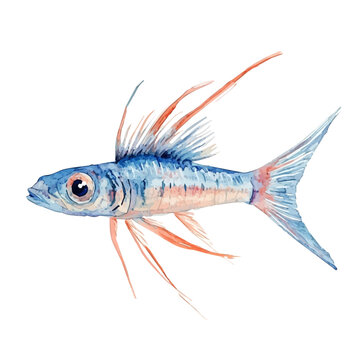 Lanternfish, vector watercolor clipart with soft pastel strokes, isolated on a white background.