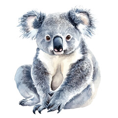 watercolor of Koala, vector, isolated on a white background. © brixel