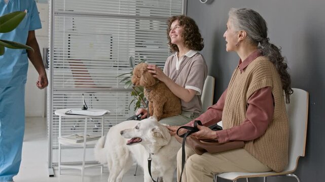 Senior Caucasian woman and young adult woman sitting with dogs in vet clinic, Black male veterinarian kneeling to pet dog. Perfect for promoting veterinary clinics and pet healthcare services