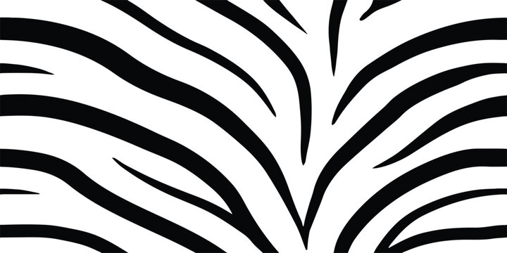 Black and white zebra stripe pattern seamless background texture