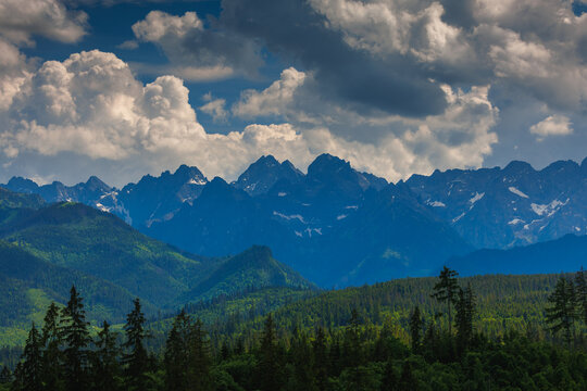 Sunlit green mountain valley with meadow, forested slopes in Zakopane Tatras mountains