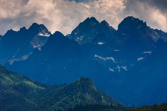 Sunlit green mountain valley with meadow, forested slopes in Zakopane Tatras mountains