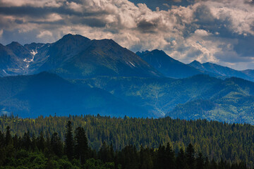 Fototapeta premium Sunlit green mountain valley with meadow, forested slopes in Zakopane Tatras mountains