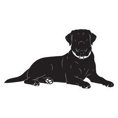 Obraz premium Black labrador retriever silhouette vector lying down with collar for pet branding and animal graphics