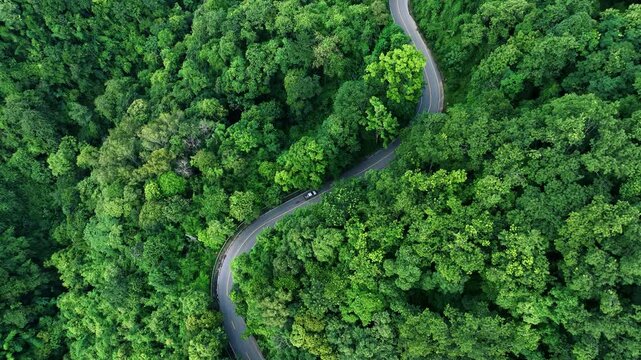 Sustainable Infrastructure Through Dense Forest for ESG Annual Report Background