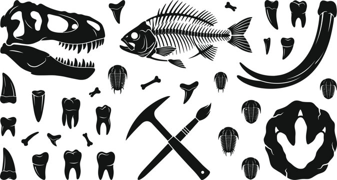 Paleontology and dinosaur fossil excavation vector icon set with black silhouettes of t-rex skull fish skeleton teeth mammoth tusk pickaxe brush footprint trilobite
