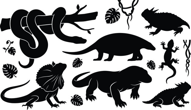 Reptiles and amphibians jungle wildlife tropical herpetology vector icon set with black silhouettes of komodo dragon snake frilled lizard iguana gecko horned toad