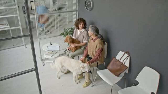 Caucasian young woman and senior woman sitting in veterinary clinic waiting room with dogs, talking and stroking pets. Ideal for pet insurance ads or veterinary clinic promotional videos