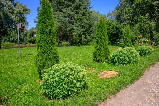 Lush green lawn with neatly trimmed shrubs and tall conifers. Bright blue sky overhead, casting soft daylight. Grassy area borders a gravel pathway. Trees and bushes frame the parklike setting