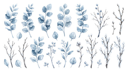 Fototapeta premium Winter frost watercolor leaves set. Blue botanical branches and snowy foliage elements.