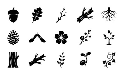 15 Nature linear icon set acorn oak leaf pine cone seed sprout tree branch flower, UI and web interface design © Nahid Rana